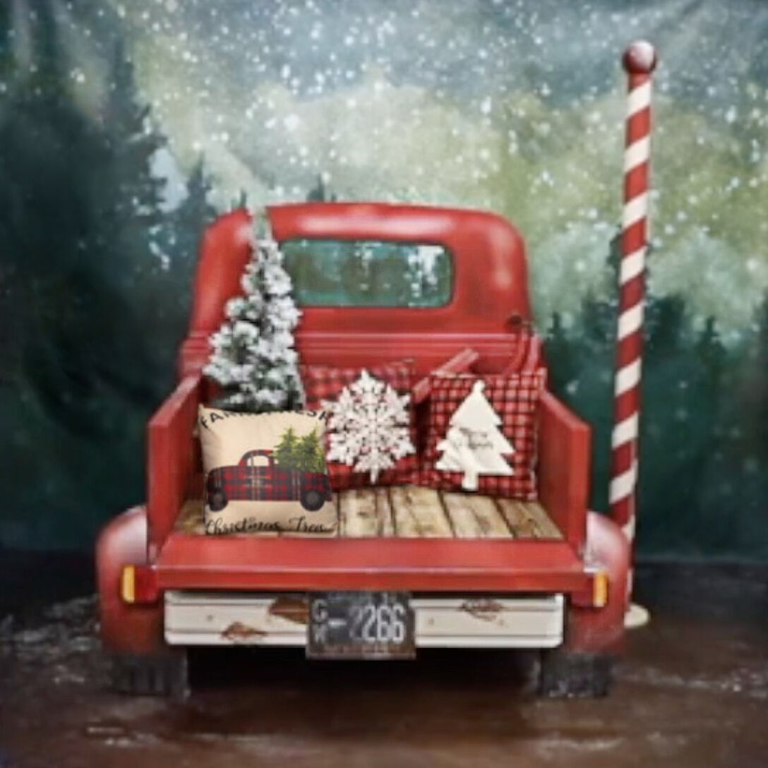 monicaudina - camioneta-web.jpg
